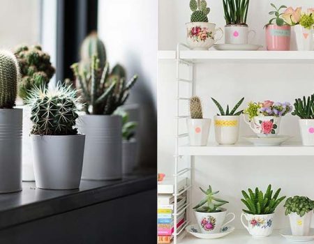 Como decorar sua casa com plantas