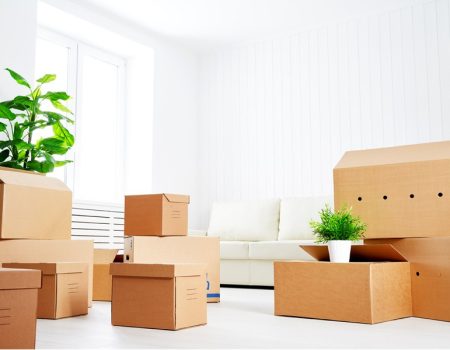 5 dicas para organizar e economizar a sua mudança